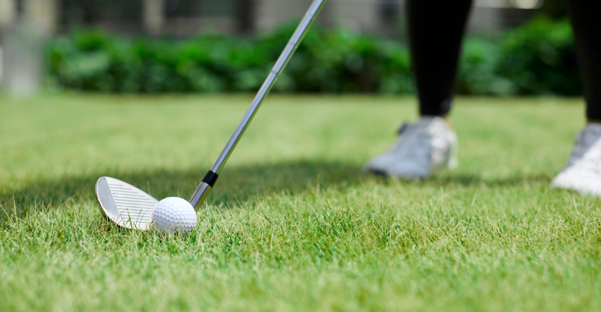 Wedge Buying Guide
